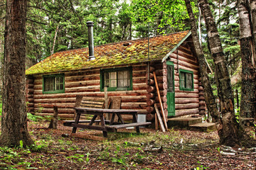 Rustic Old Log Cabin