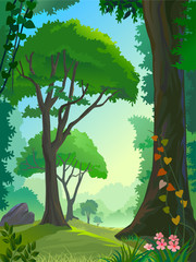 AMAZON FOREST TREES