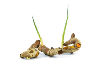 Turmeric isolated over white