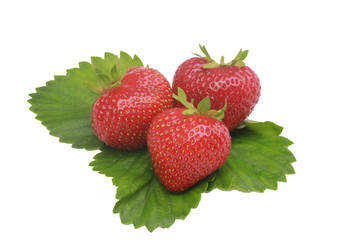 fraises
