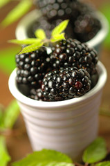 More - Blackberries