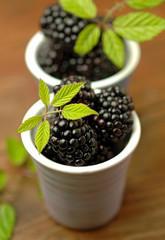 Fototapeta na wymiar More - Blackberries