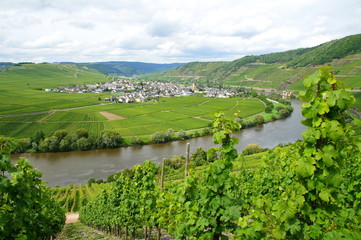 Naklejka premium Trittenheim an der Mosel