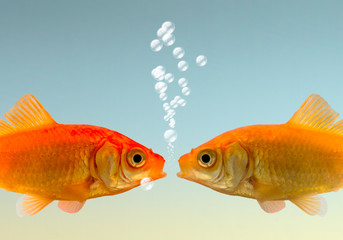 dialogue entre deux poissons