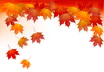 Naklejka na ściany i meble Autumn background with colorful leafs. Vector illustration.