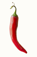 Red hot chili pepper isolated on a white background