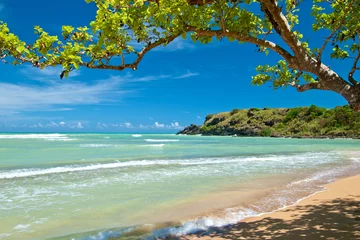 Foto auf Leinwand Versteckter Strand, Puerto Rico © stevengaertner