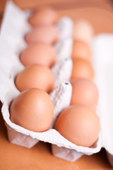 chicken eggs in box