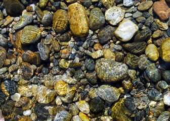 sassi colorati in riva al fiume sotto l'acqua