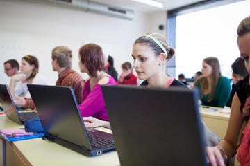 Fototapeta premium college students sitting in a classroom, using laptop computers