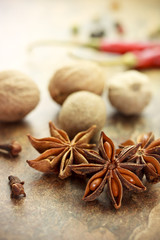 Fototapeta na wymiar Collection of spices - star anise, nutmeg, clove, chili pepper