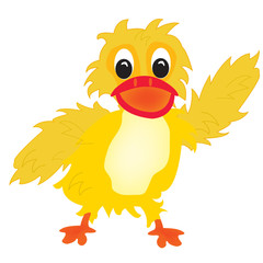 Illustration nice duckling