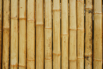 Bamboo background