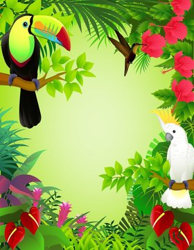 Tropical birds
