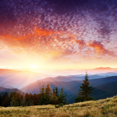 Obraz na płótnie Canvas Summer landscape in mountains with the sun