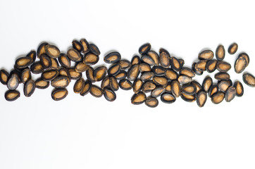 Watermelon seeds