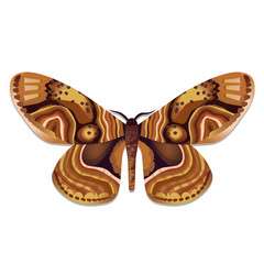 Plakat Nachtfalter / moth