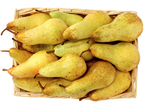 Pere