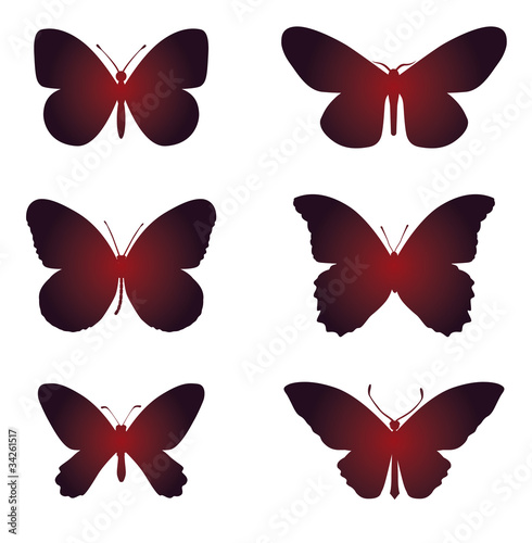 "Schmetterlinge Silhouette / butterfly outline" Stock image and royalty