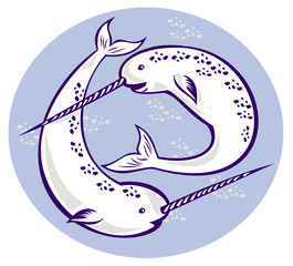 Narwhal Monodon monoceros unicorn whale © Redwater Vectors