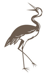 Crane looking up isolated background