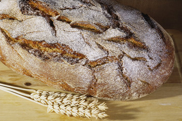 Brot