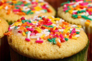 Vanilla Cupcakes