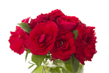 Bouquet of red roses