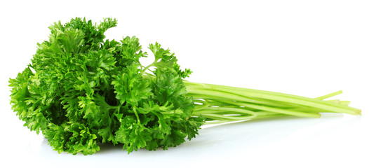 beautiful parsley isolated on white