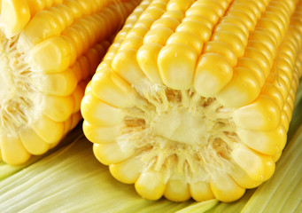 corn cob