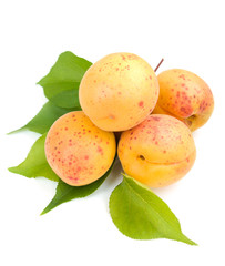 Apricots with leaves