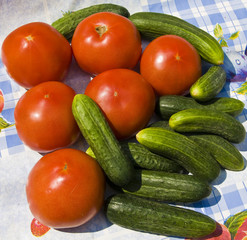 Tomatoes and cucumbers