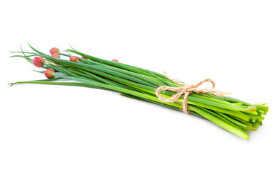 green onion (Chive), isolated on the white background
