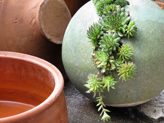 Keramik im Garten - pottery in the garden