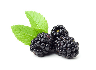 Brombeeren isoliert - obrazy, fototapety, plakaty