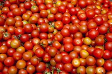 Tomates
