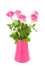 Bouquet of pink roses in vase over white background