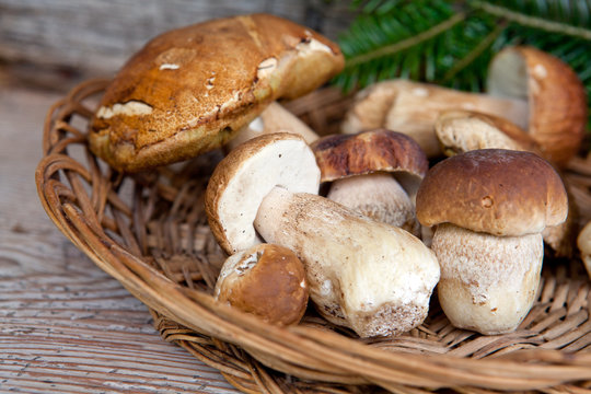 cestino in vimini con funghi porcini