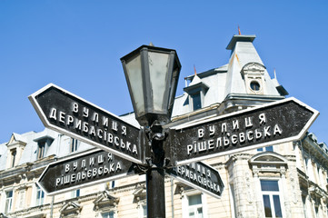 Obraz premium Pointer