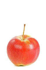 Apfel