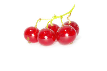 red currant