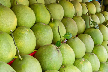 pomelo fruit