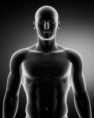 Fototapeta premium Male figure in anatomical position upper part