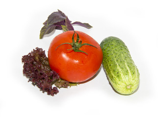 tomato, cucumber, basil, lettuce