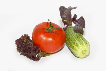 tomato, cucumber, basil, lettuce