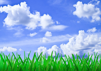 Green grass and blue sky with clouds