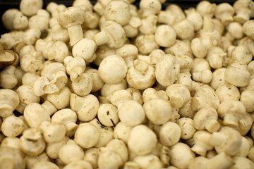 Pile of crimini mushrooms