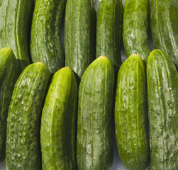 Cucumbers