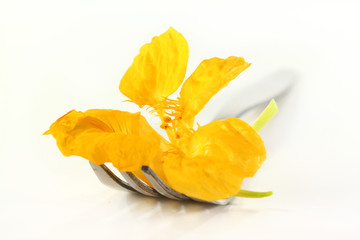 essbare Blüte