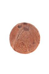 Coconut fruit isolated